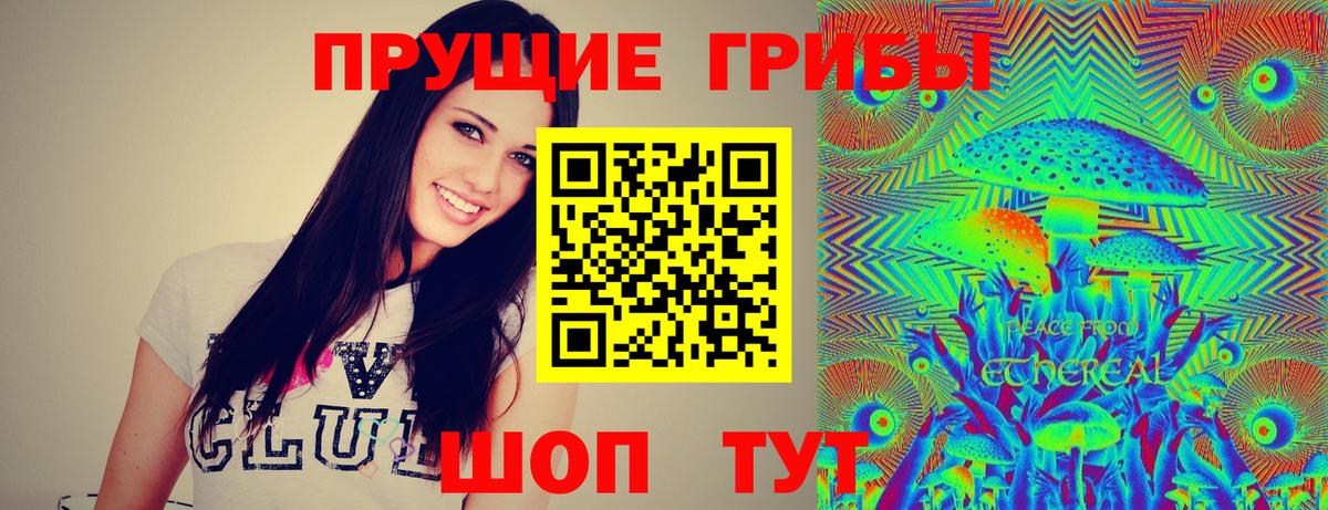 Чусовой  Галлюциногенные грибы Cubensis  Вход с VPN 