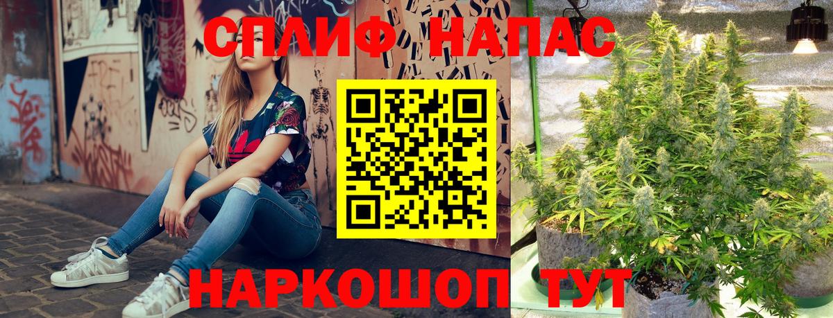 Бошки Шишки планчик  Канабис White Widow  Каннабис план  Чусовой  Вход с VPN  МАРИХУАНА гибрид 